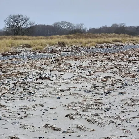 Tranquil Retreat At Ulvshale - By Traum * Stege