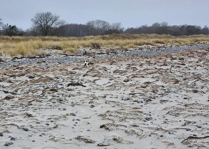 Tranquil Retreat At Ulvshale - By Traum * Stege